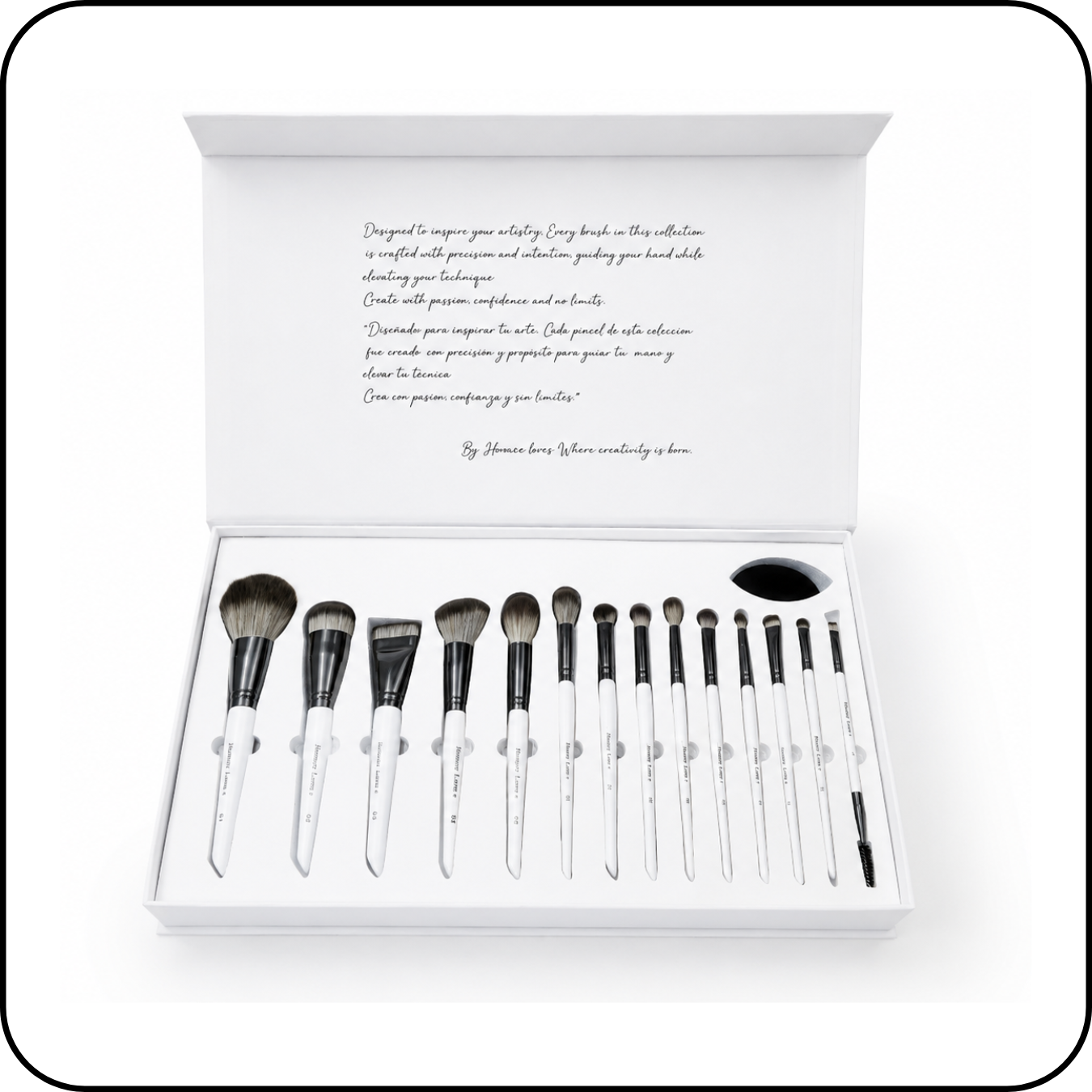 Brush Collection HL - 25% more bristles