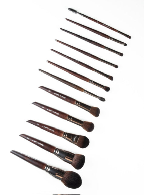 HL-470°F X Brush Set